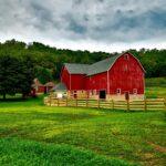 Farming Your Life: How to make your own money.