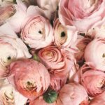 Love In The Air | Love Potions