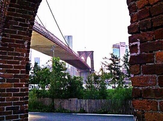 Under the Brooklyn Bridge