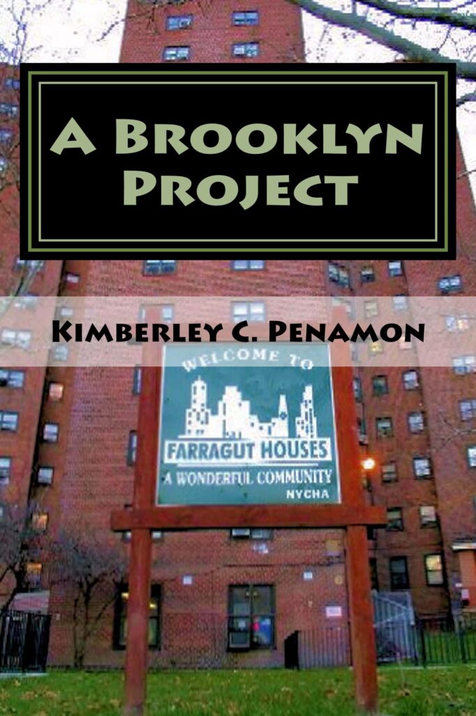 A_Brooklyn_Project_Cover_for_Kindle