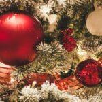 Christmas Felonies